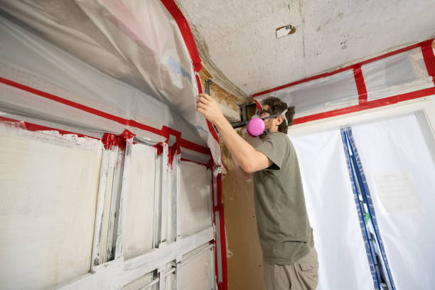 Forensic Mold Investigation in Shark River Hills, NJ