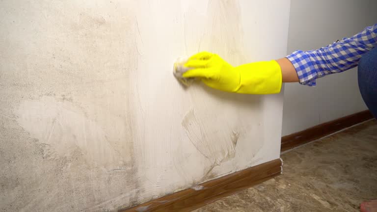 Best Biohazard Mold Removal  in Shark River Hills, NJ