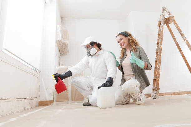 Professional Mold Removal in Shark River Hills, NJ
