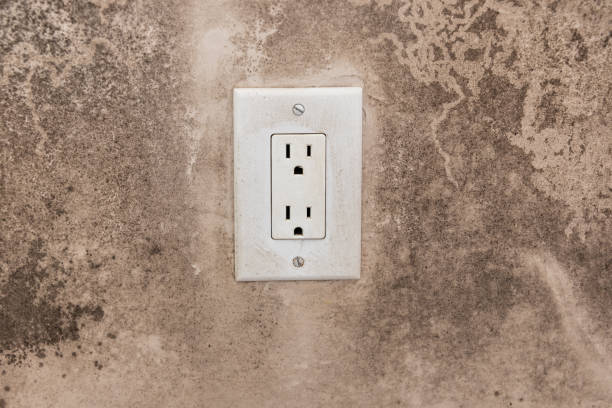 Best Mold Prevention Services  in Shark River Hills, NJ