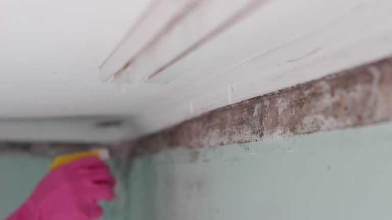 Best Indoor Air Quality Assessment  in Shark River Hills, NJ